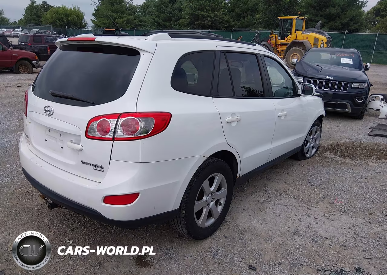 2010 Hyundai Santa Fe Se VIN:5NMSHDAG8AH387659 - 4