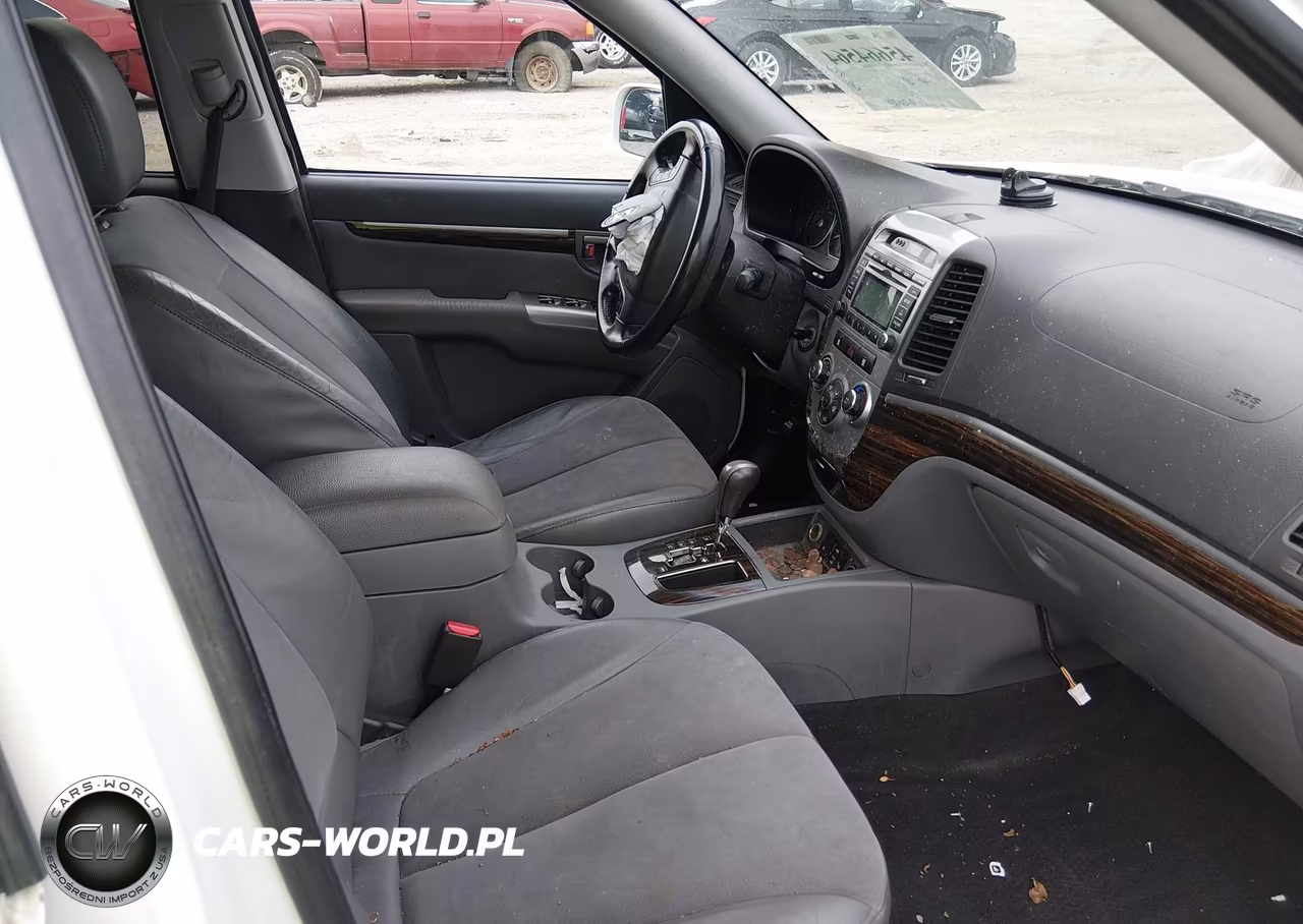 2010 Hyundai Santa Fe Se VIN:5NMSHDAG8AH387659 - 5