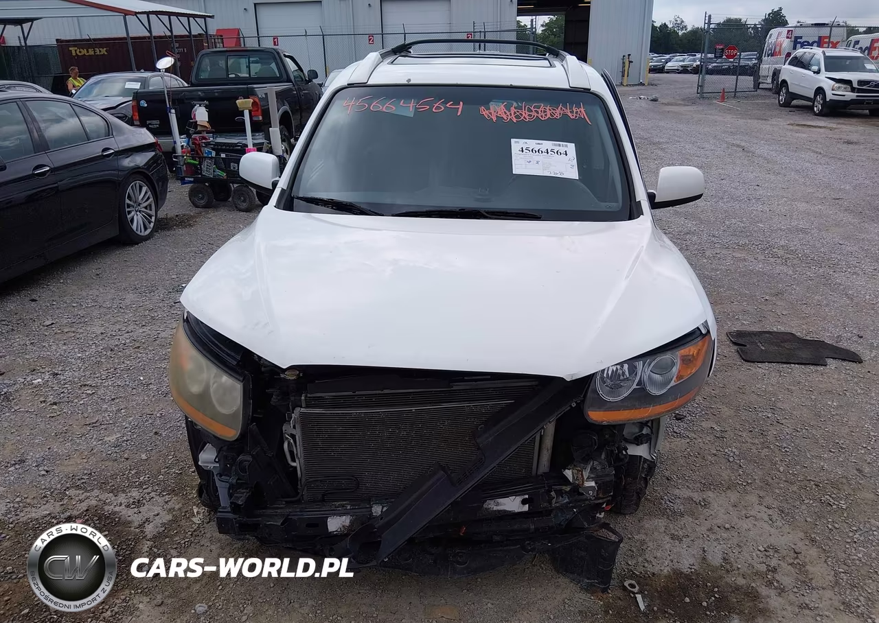 2010 Hyundai Santa Fe Se VIN:5NMSHDAG8AH387659 - 6
