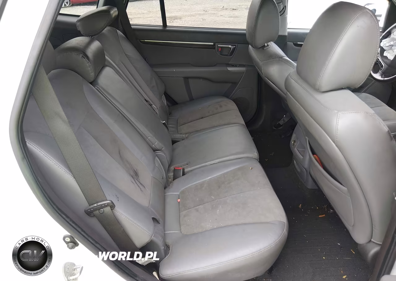2010 Hyundai Santa Fe Se VIN:5NMSHDAG8AH387659 - 8