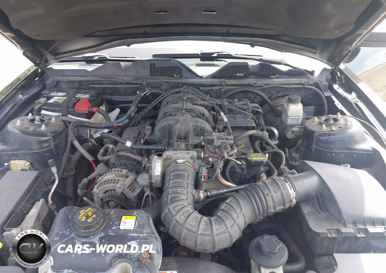 2010 Ford Mustang V6-V6 Premium VIN:1ZVBP8AN8A5175899 - 10