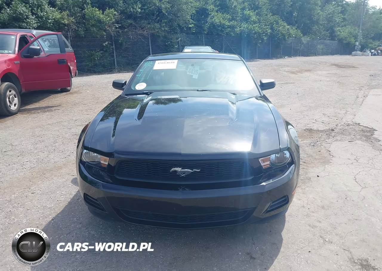 2010 Ford Mustang V6-V6 Premium VIN:1ZVBP8AN8A5175899 - 12