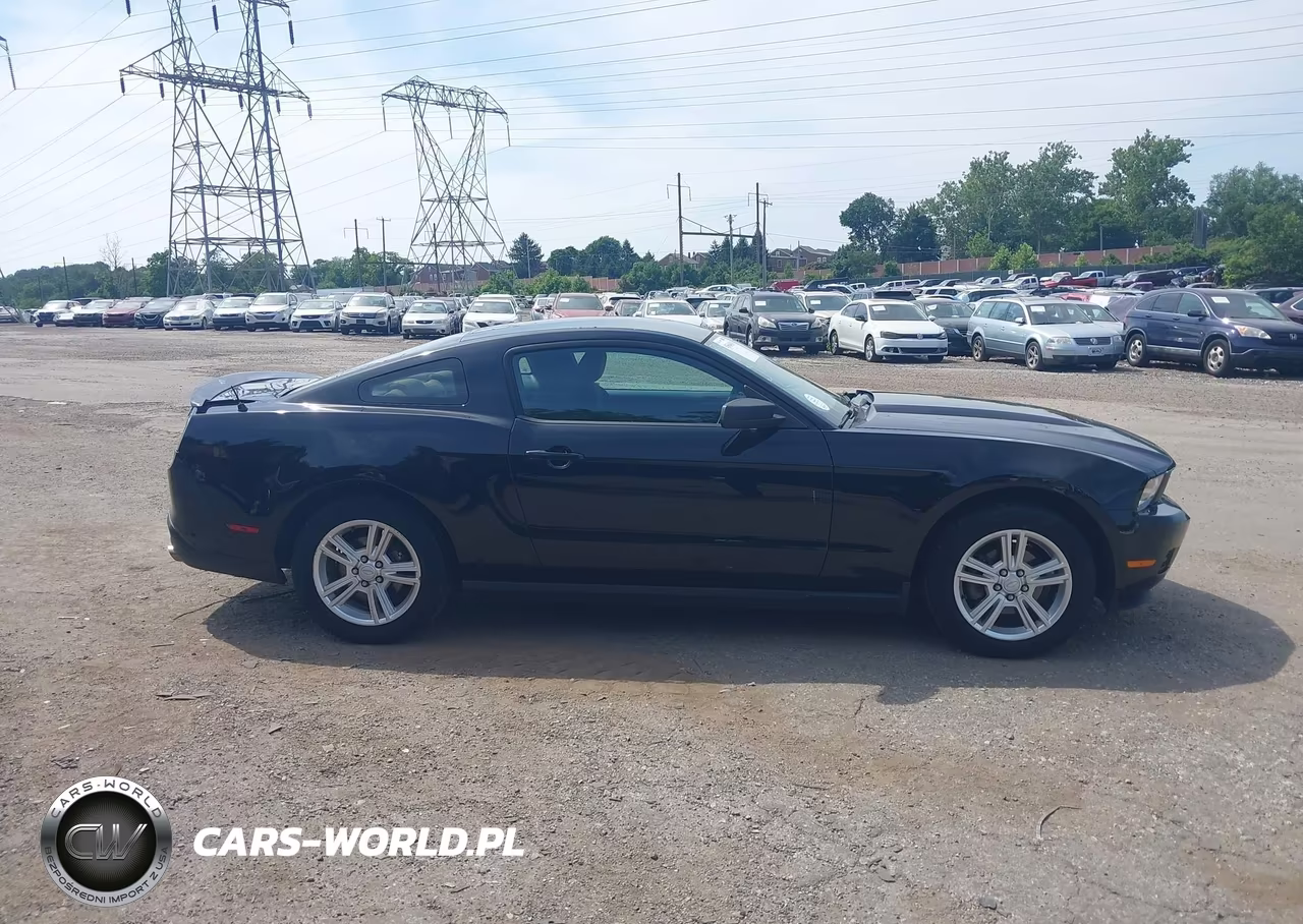 2010 Ford Mustang V6-V6 Premium VIN:1ZVBP8AN8A5175899 - 13