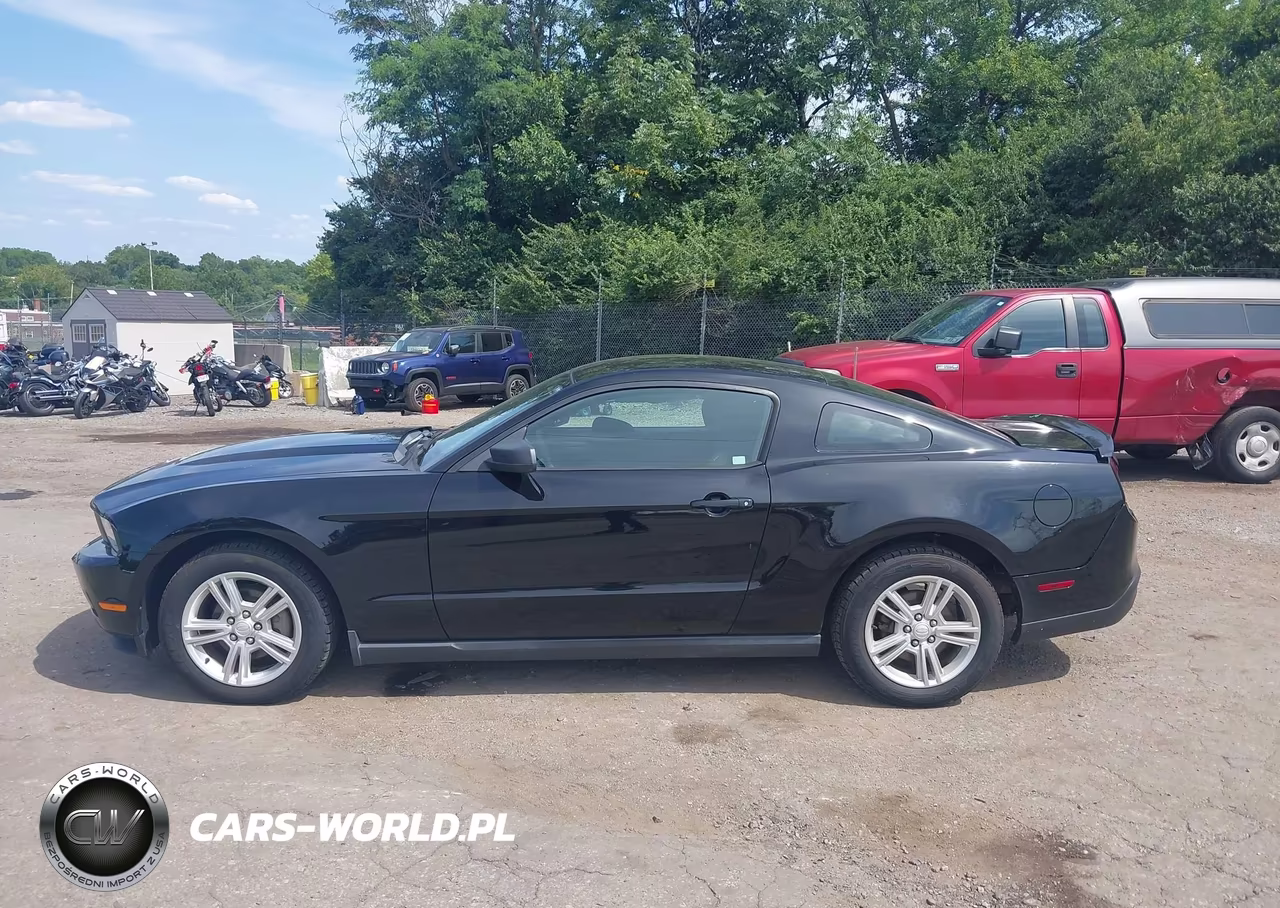 2010 Ford Mustang V6-V6 Premium VIN:1ZVBP8AN8A5175899 - 14