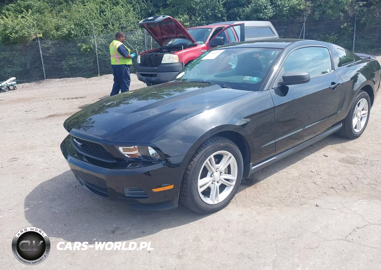 2010 Ford Mustang V6-V6 Premium VIN:1ZVBP8AN8A5175899 - 2