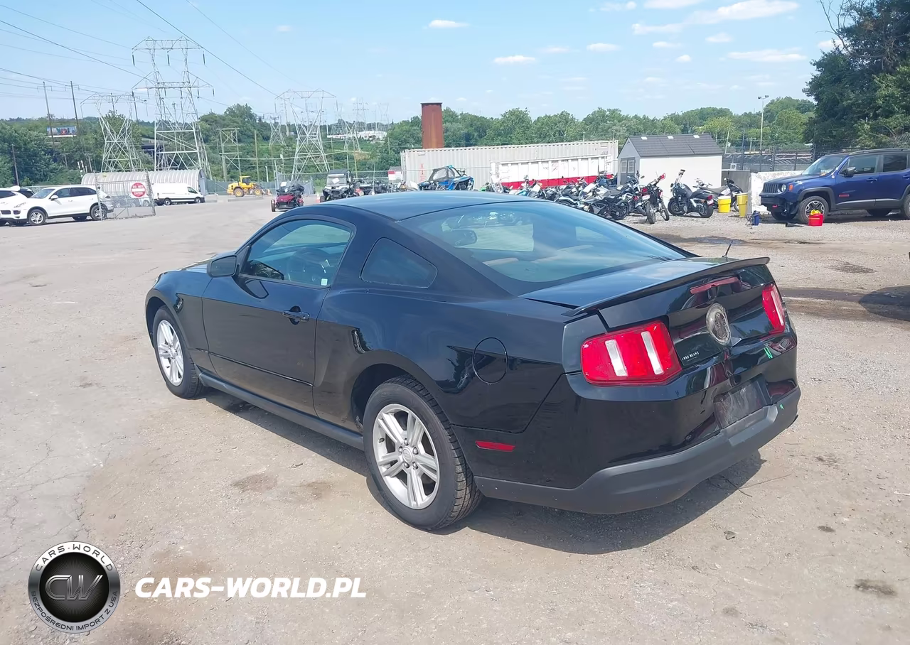 2010 Ford Mustang V6-V6 Premium VIN:1ZVBP8AN8A5175899 - 3
