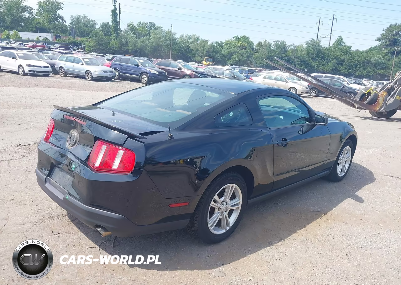 2010 Ford Mustang V6-V6 Premium VIN:1ZVBP8AN8A5175899 - 4