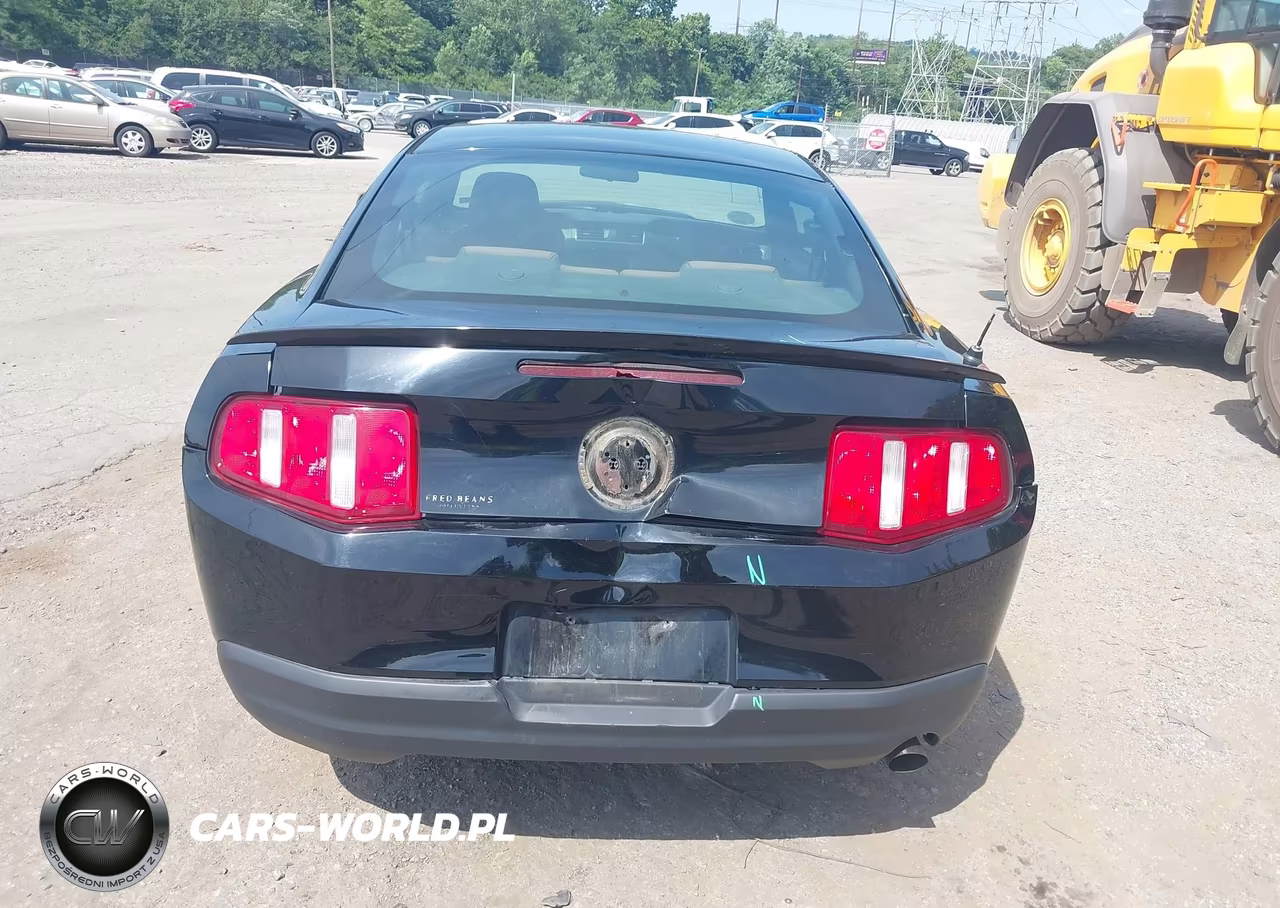 2010 Ford Mustang V6-V6 Premium VIN:1ZVBP8AN8A5175899 - 6