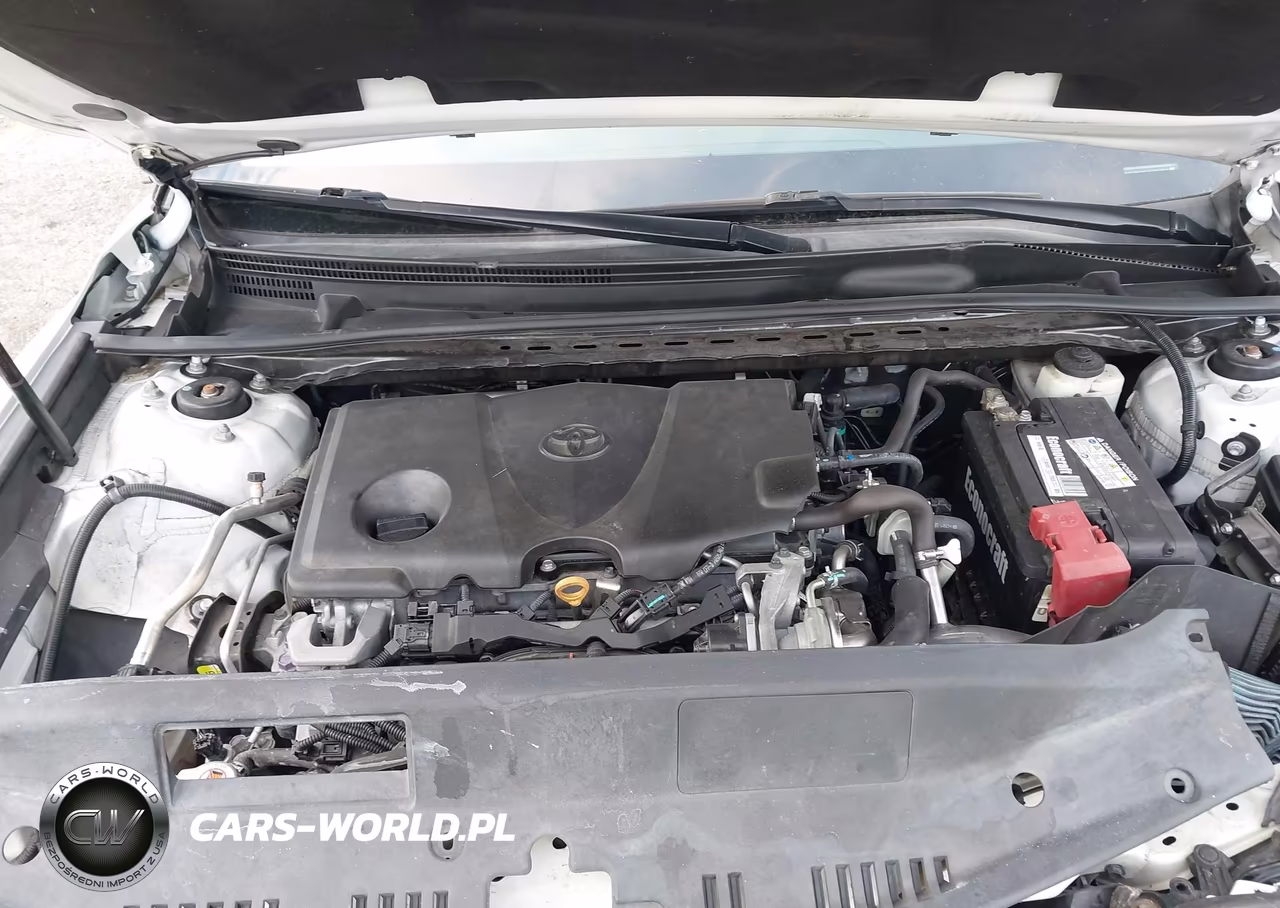 2019 Toyota Camry Xse VIN:4T1B61HK2KU287352 - 10