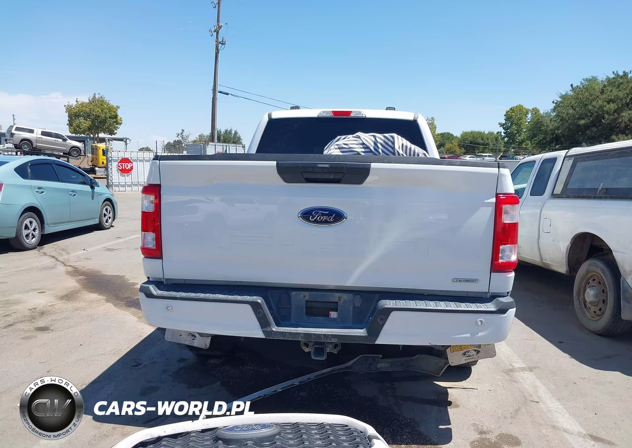 2023 Ford F-150 Xl VIN:1FTEX1EP0PKF53520 - 16