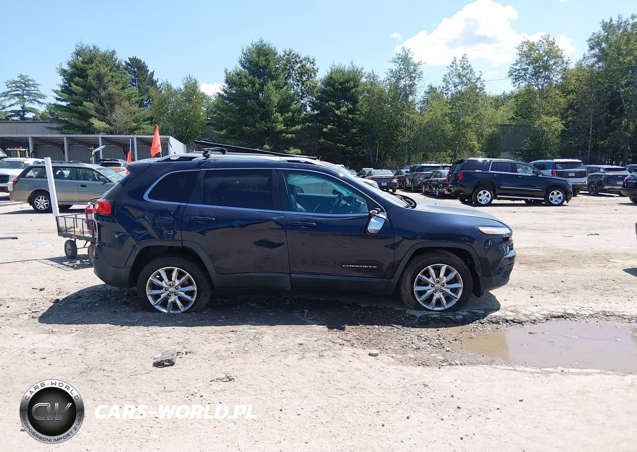 2014 Jeep Cherokee Limited VIN:1C4PJMDS4EW260808 - 13