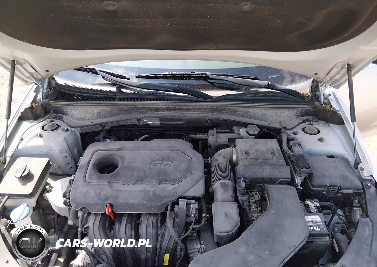 2019 Kia Optima Lx VIN:5XXGT4L36KG302980 - 10