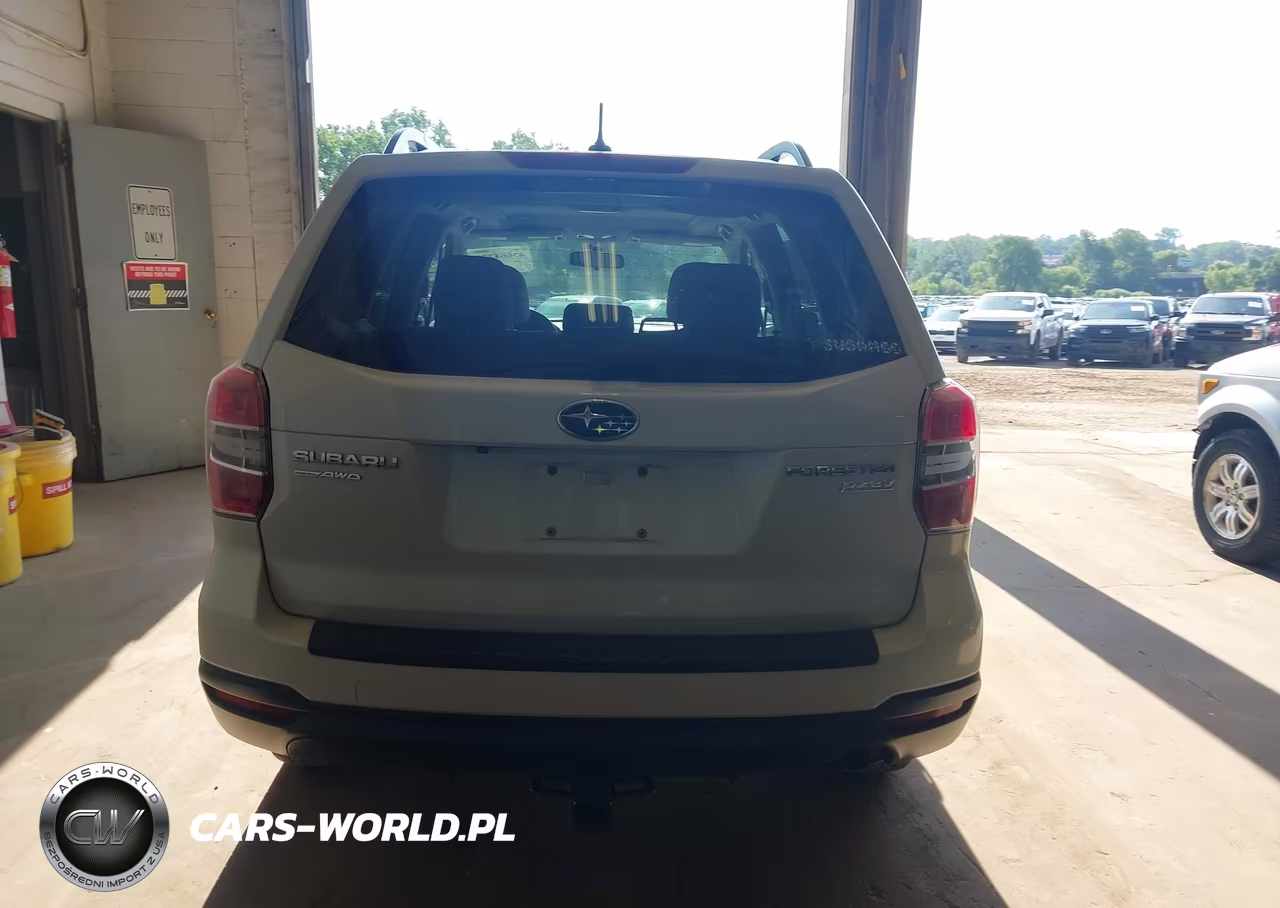 2015 Subaru Forester 2.5I Premium VIN:JF2SJADC9FH579727 - 16