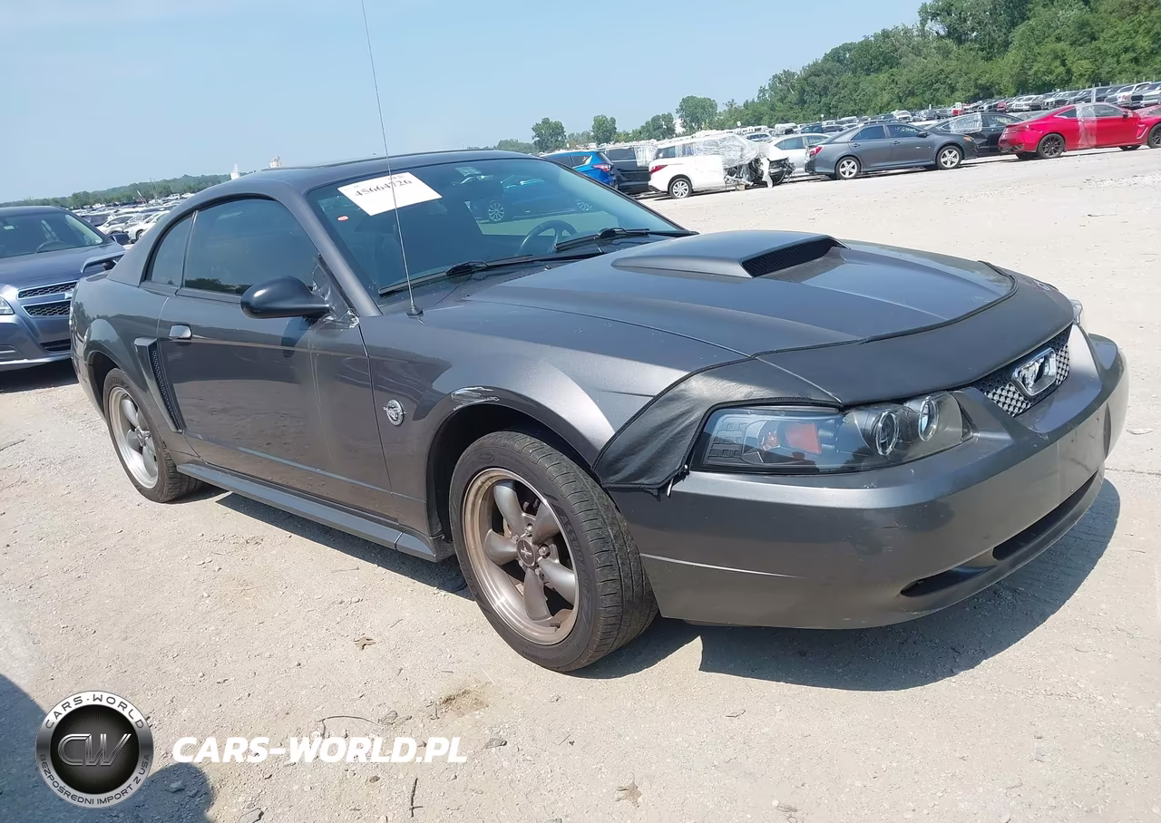 2004 Ford Mustang Gt VIN:1FAFP42X14F143572 - 1