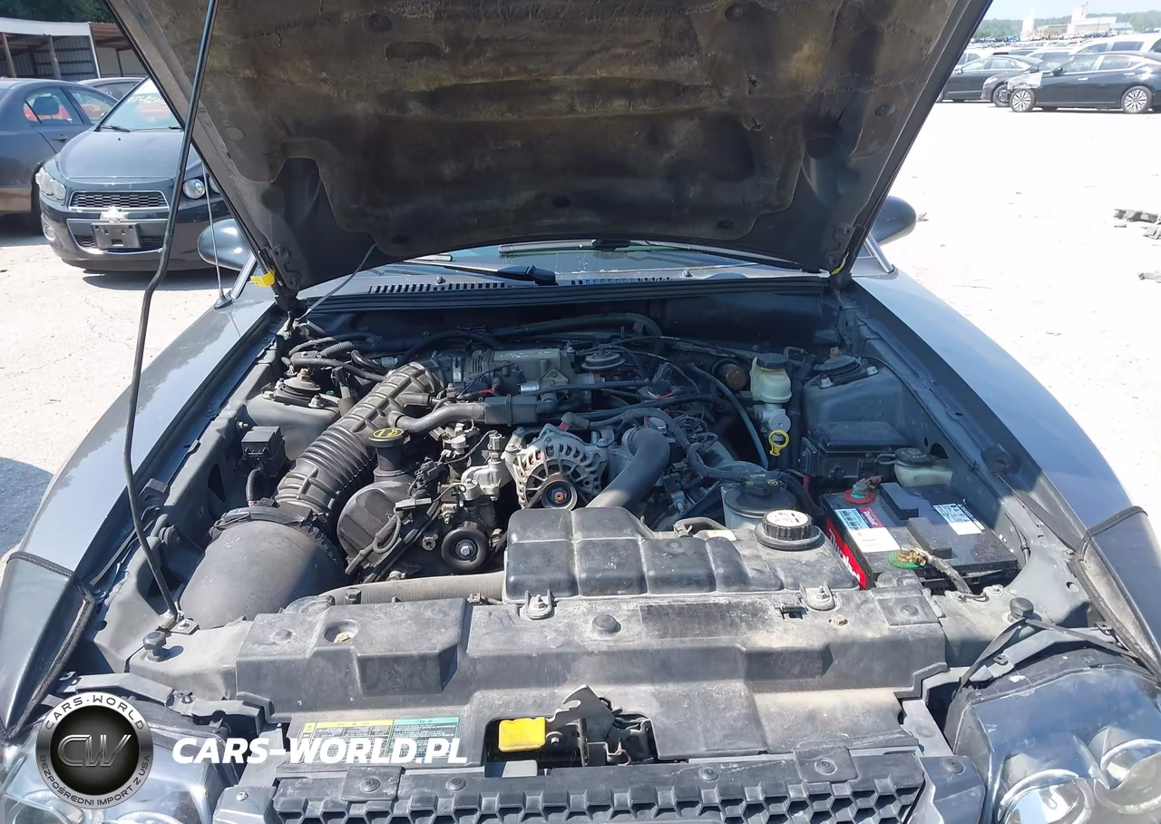 2004 Ford Mustang Gt VIN:1FAFP42X14F143572 - 10