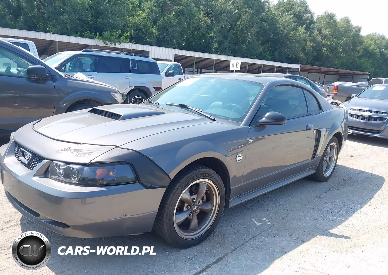 2004 Ford Mustang Gt VIN:1FAFP42X14F143572 - 2