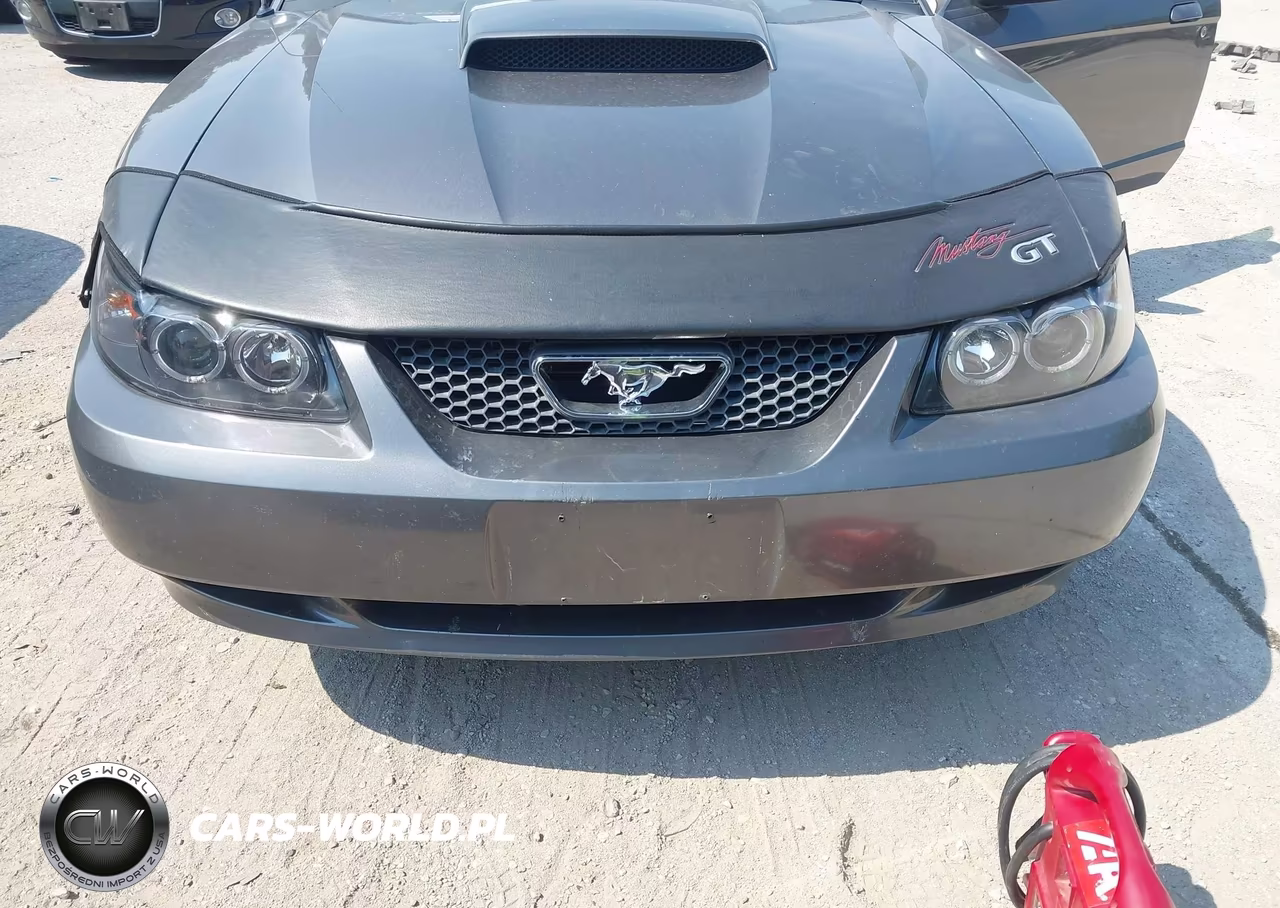 2004 Ford Mustang Gt VIN:1FAFP42X14F143572 - 6