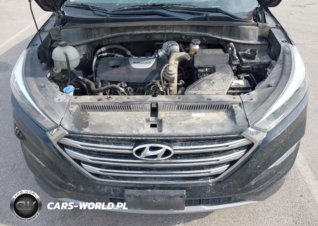 2017 Hyundai Tucson Limited VIN:KM8J3CA22HU512579 - 10
