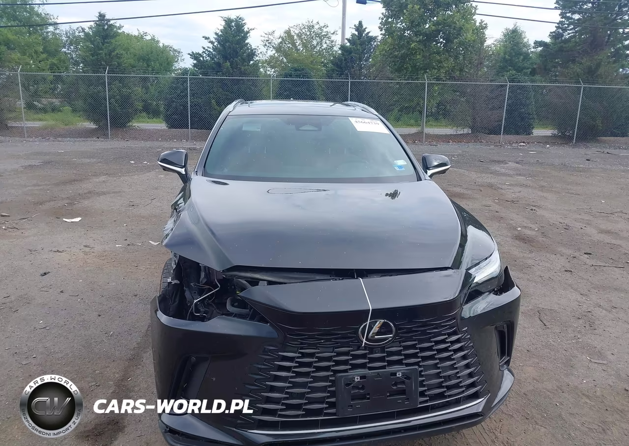 2025 Lexus Rx 350H Premium Plus VIN:2T2BBMCA0SC077275 - 13