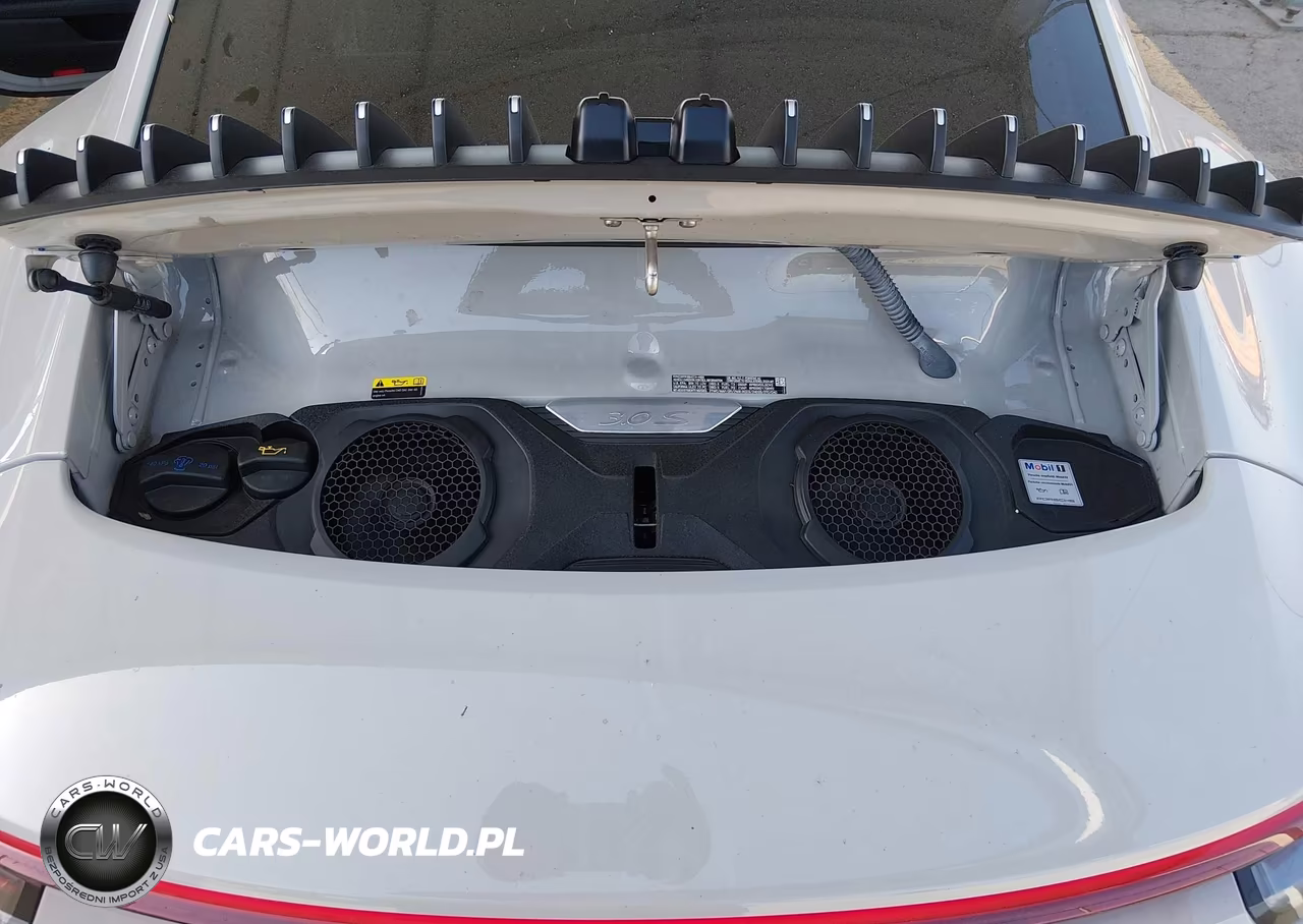 2024 Porsche 911 Carrera 4 Gts-Carrera 4S-Carrera Gts-Carrera S-Dakar VIN:WP0AB2A95RS218007 - 10