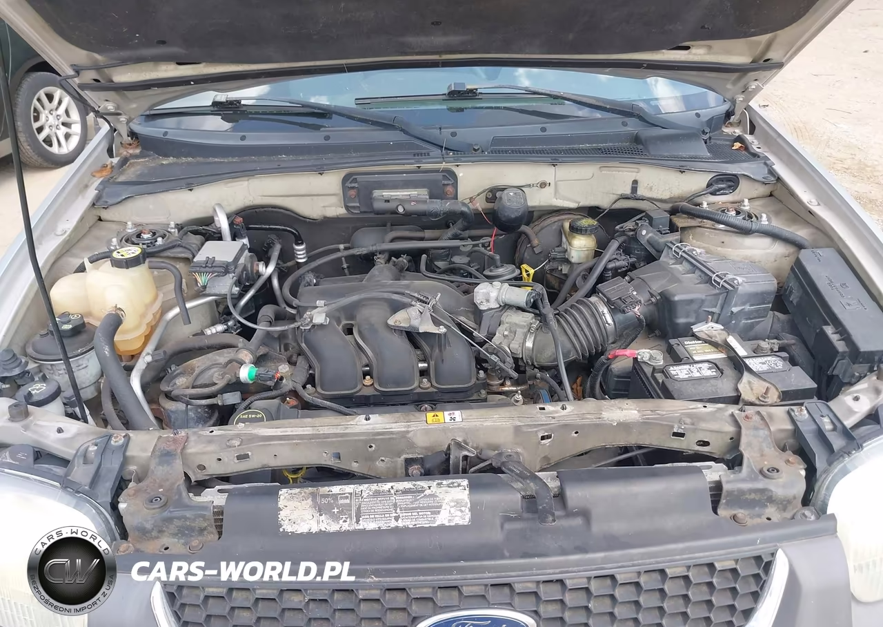 2004 Ford Escape Xlt VIN:1FMYU03164DA19447 - 10