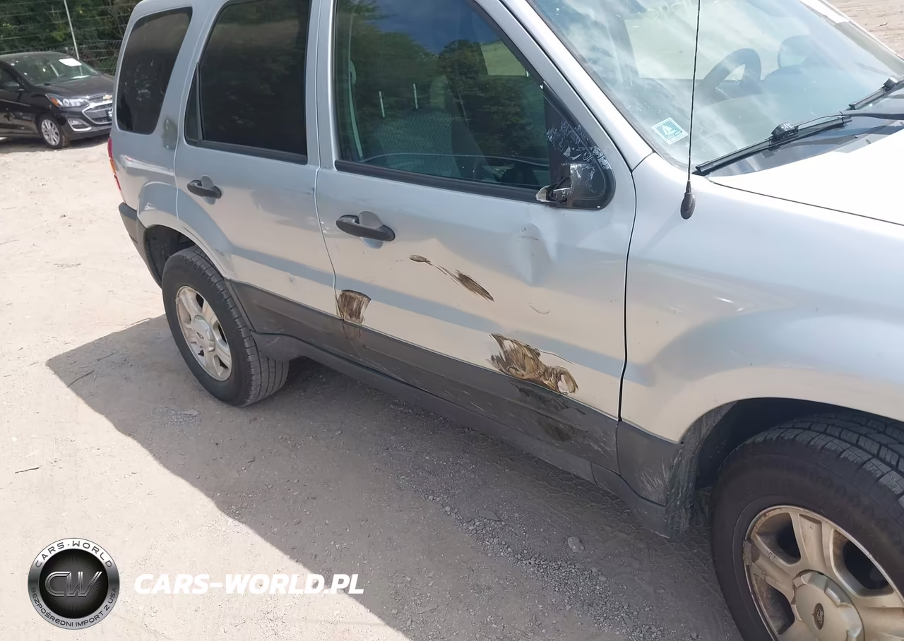 2004 Ford Escape Xlt VIN:1FMYU03164DA19447 - 12