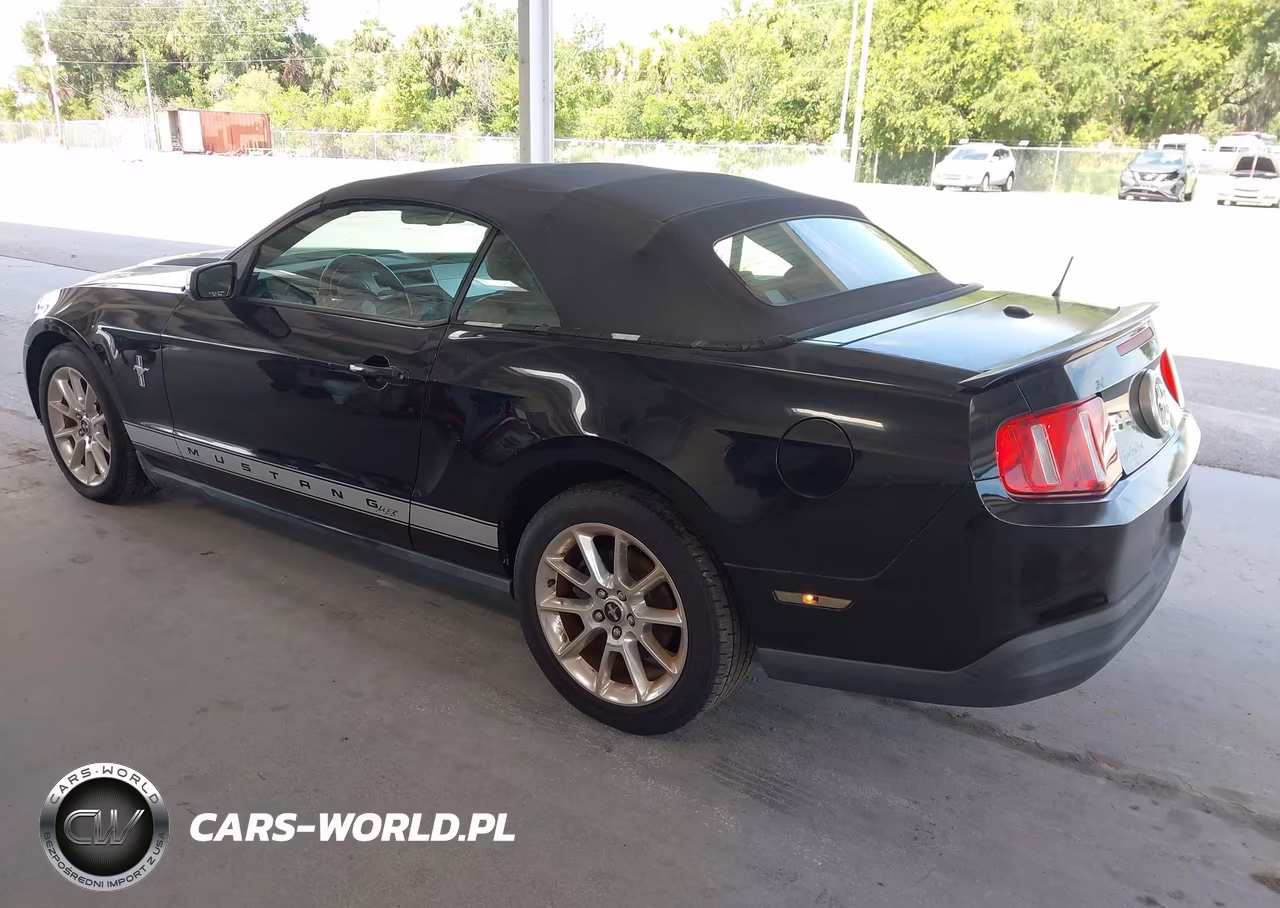 2010 Ford Mustang V6 Premium VIN:1ZVBP8EN8A5166744 - 3