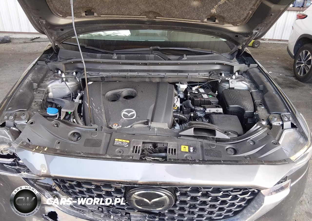 2023 Mazda Cx-5 2.5 S Preferred VIN:JM3KFBCM4P0173040 - 10