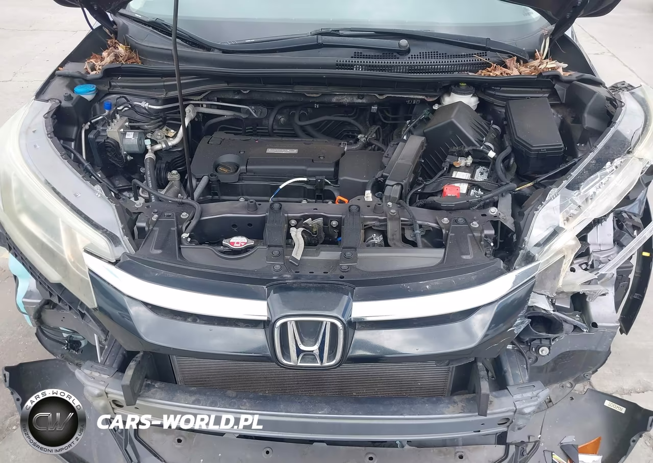 2016 Honda Cr-V Lx VIN:3CZRM3H32GG700954 - 10