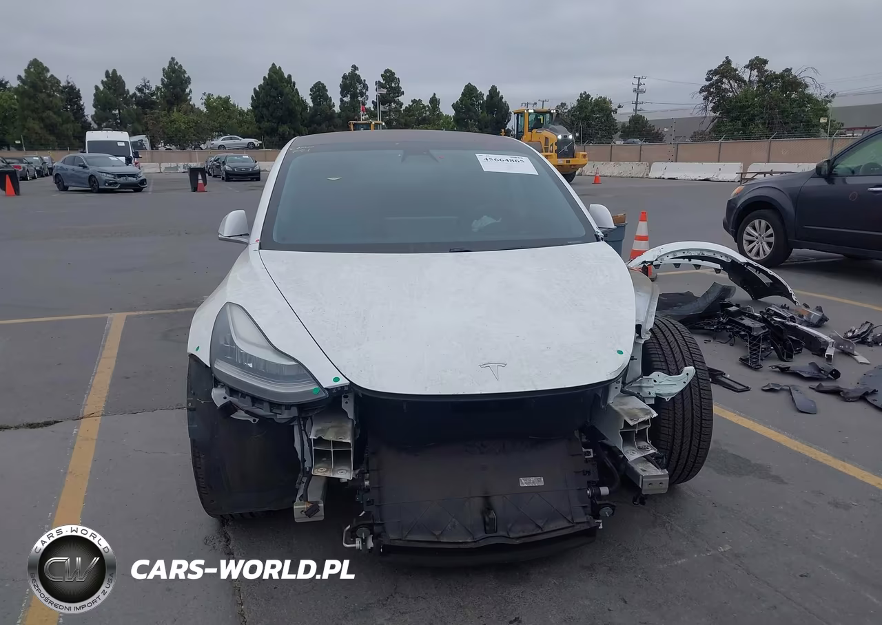 2019 Tesla Model 3 Long Range-Mid Range-Standard Range-Standard Range Plus VIN:5YJ3E1EA0KF301457 - 12