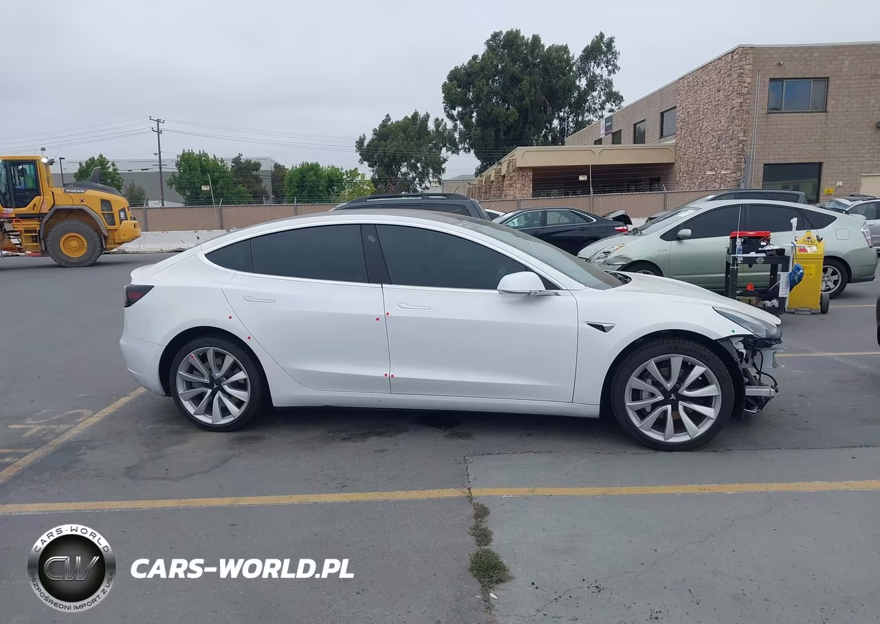 2019 Tesla Model 3 Long Range-Mid Range-Standard Range-Standard Range Plus VIN:5YJ3E1EA0KF301457 - 13