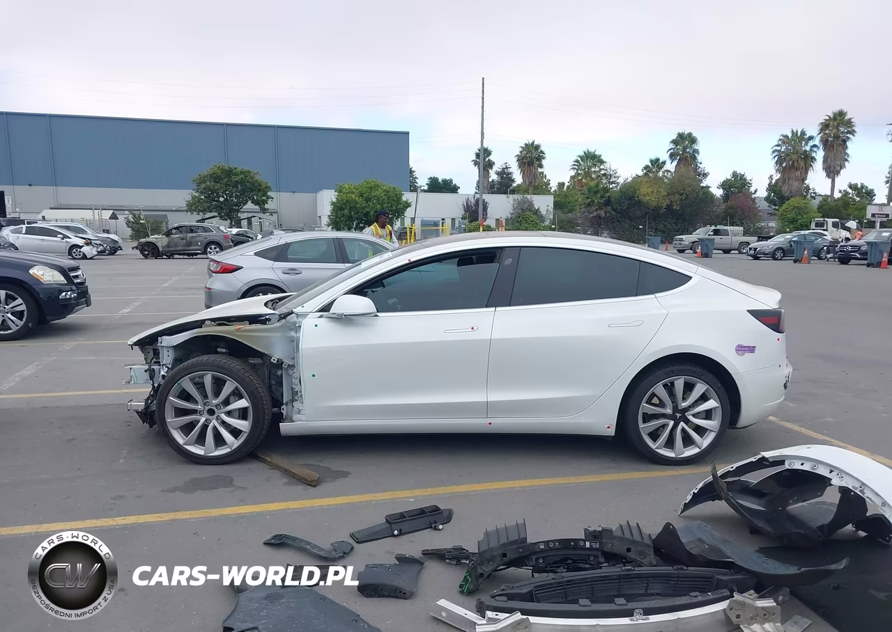 2019 Tesla Model 3 Long Range-Mid Range-Standard Range-Standard Range Plus VIN:5YJ3E1EA0KF301457 - 14