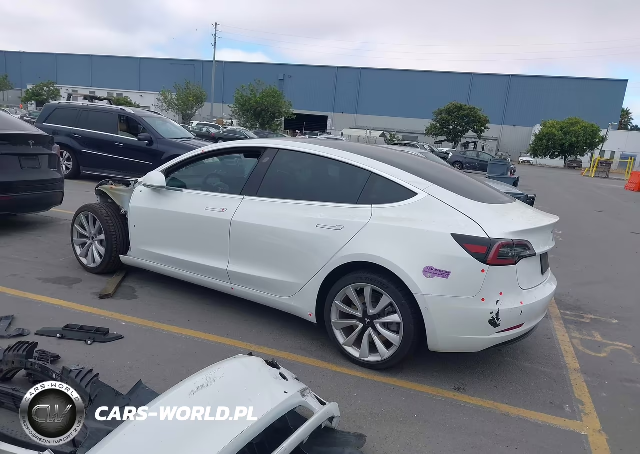 2019 Tesla Model 3 Long Range-Mid Range-Standard Range-Standard Range Plus VIN:5YJ3E1EA0KF301457 - 3