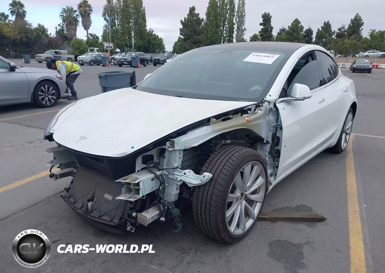 2019 Tesla Model 3 Long Range-Mid Range-Standard Range-Standard Range Plus VIN:5YJ3E1EA0KF301457 - 6