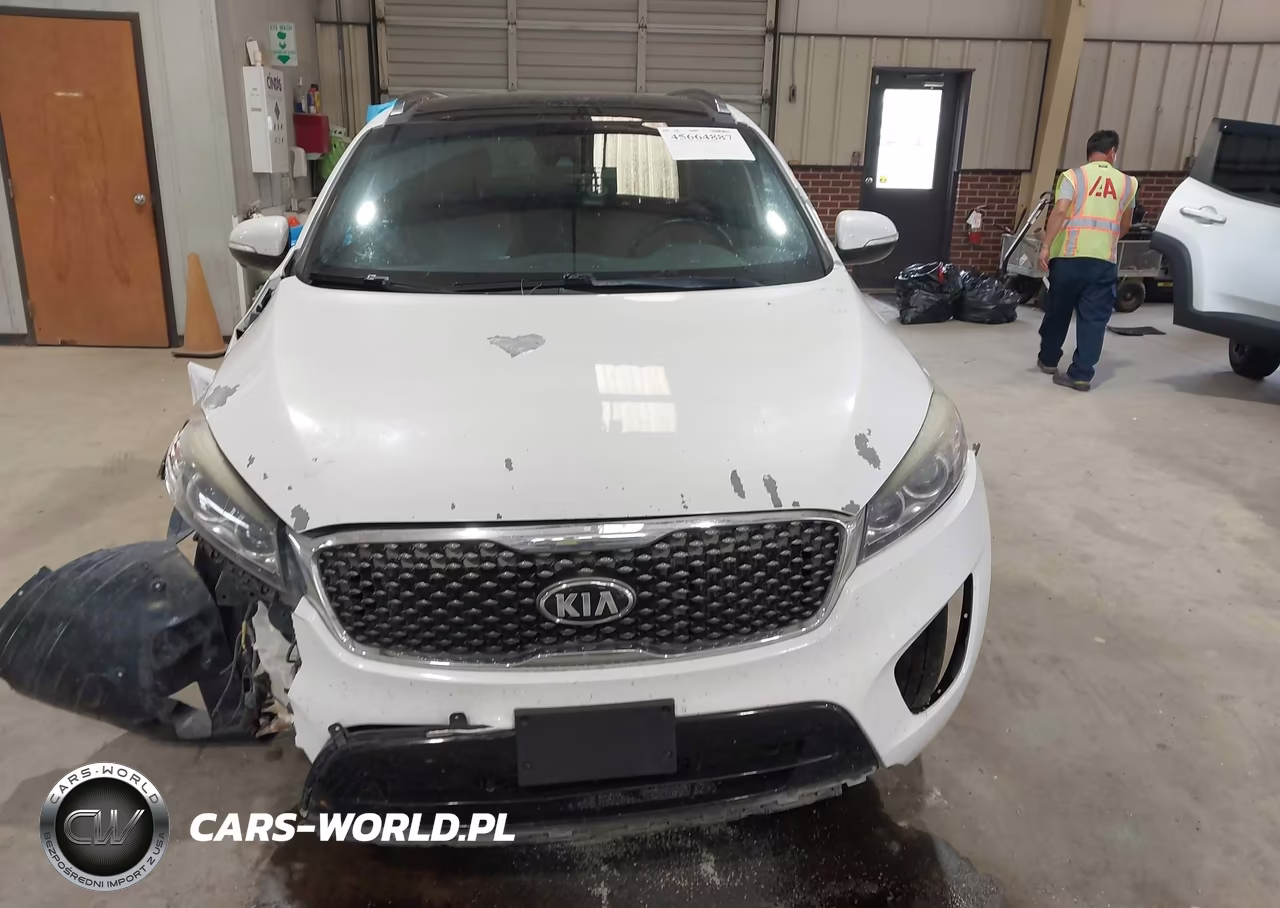 2016 Kia Sorento 2.0T Sxl VIN:5XYPKDA17GG017549 - 13