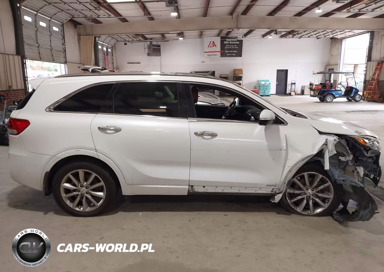 2016 Kia Sorento 2.0T Sxl VIN:5XYPKDA17GG017549 - 14