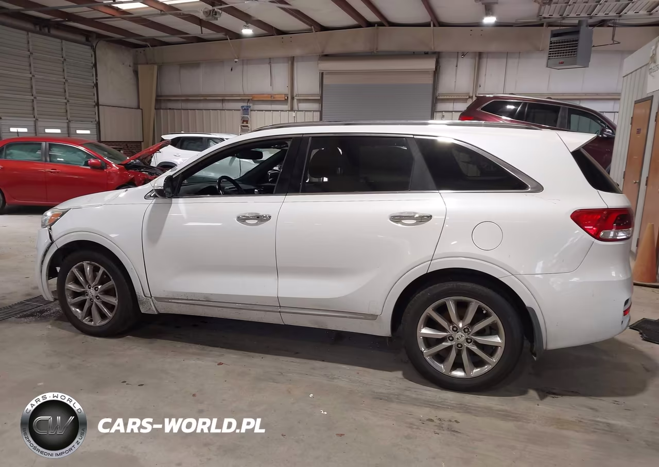 2016 Kia Sorento 2.0T Sxl VIN:5XYPKDA17GG017549 - 15