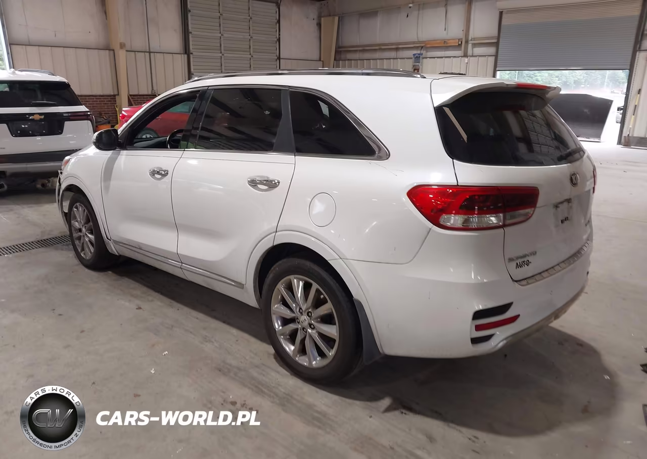 2016 Kia Sorento 2.0T Sxl VIN:5XYPKDA17GG017549 - 3