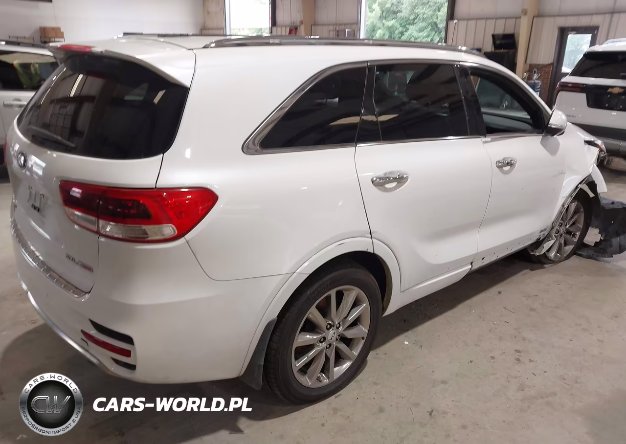2016 Kia Sorento 2.0T Sxl VIN:5XYPKDA17GG017549 - 4
