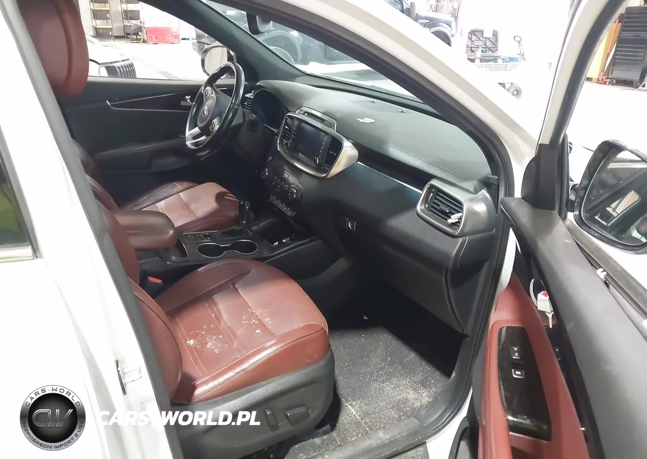 2016 Kia Sorento 2.0T Sxl VIN:5XYPKDA17GG017549 - 5