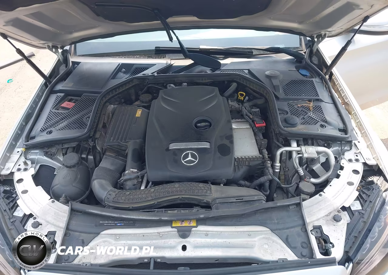 2015 Mercedes-Benz C 300 Luxury 4Matic VIN:55SWF4KB2FU029474 - 10
