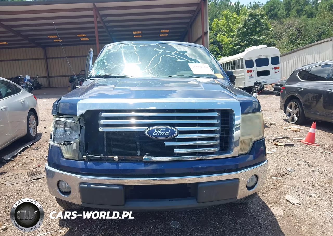2010 Ford F-150 Xlt VIN:1FTEW1C83AFD23310 - 12