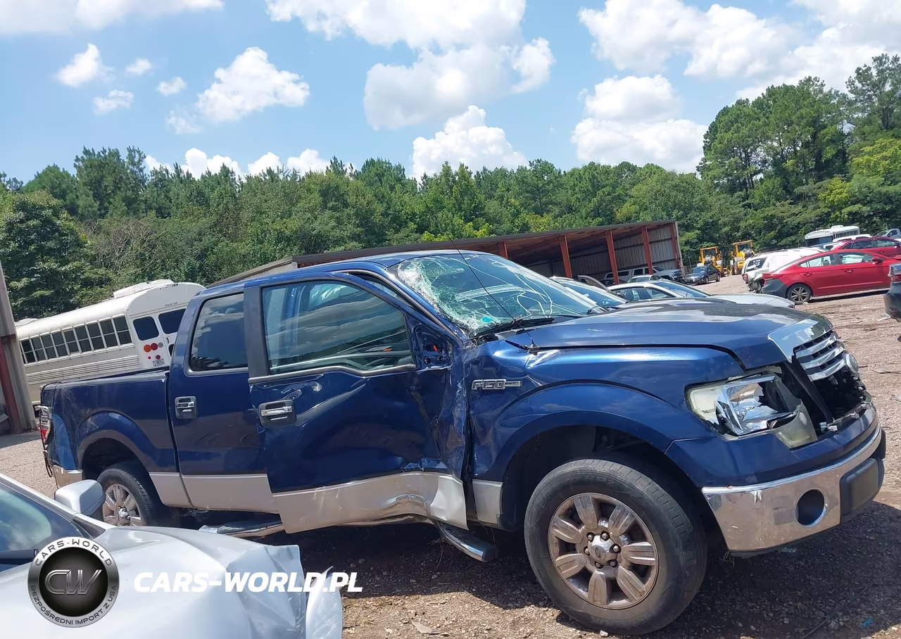 2010 Ford F-150 Xlt VIN:1FTEW1C83AFD23310 - 13