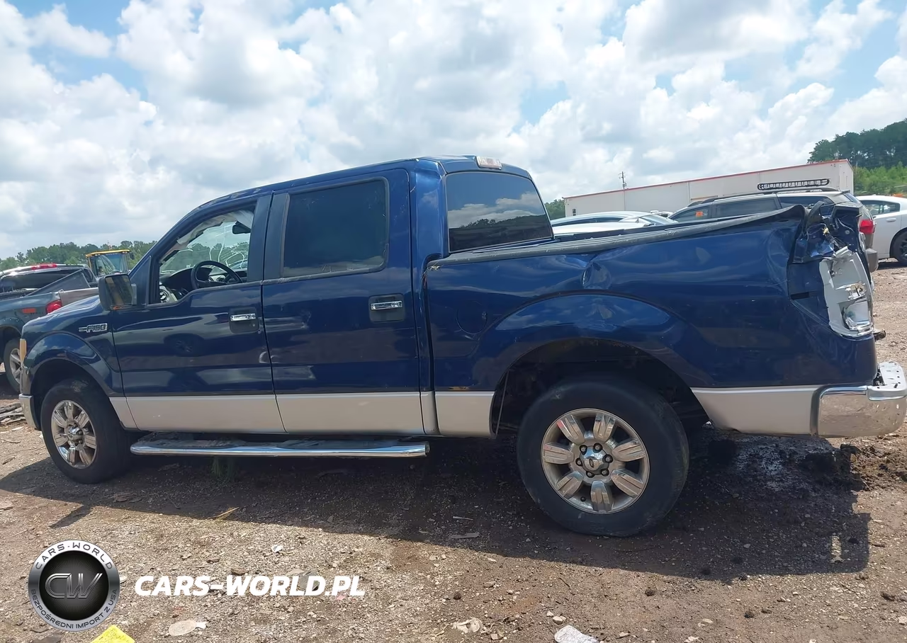 2010 Ford F-150 Xlt VIN:1FTEW1C83AFD23310 - 14