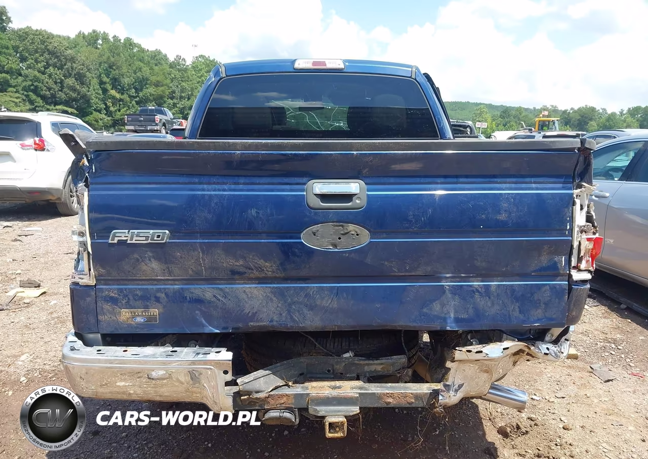 2010 Ford F-150 Xlt VIN:1FTEW1C83AFD23310 - 16
