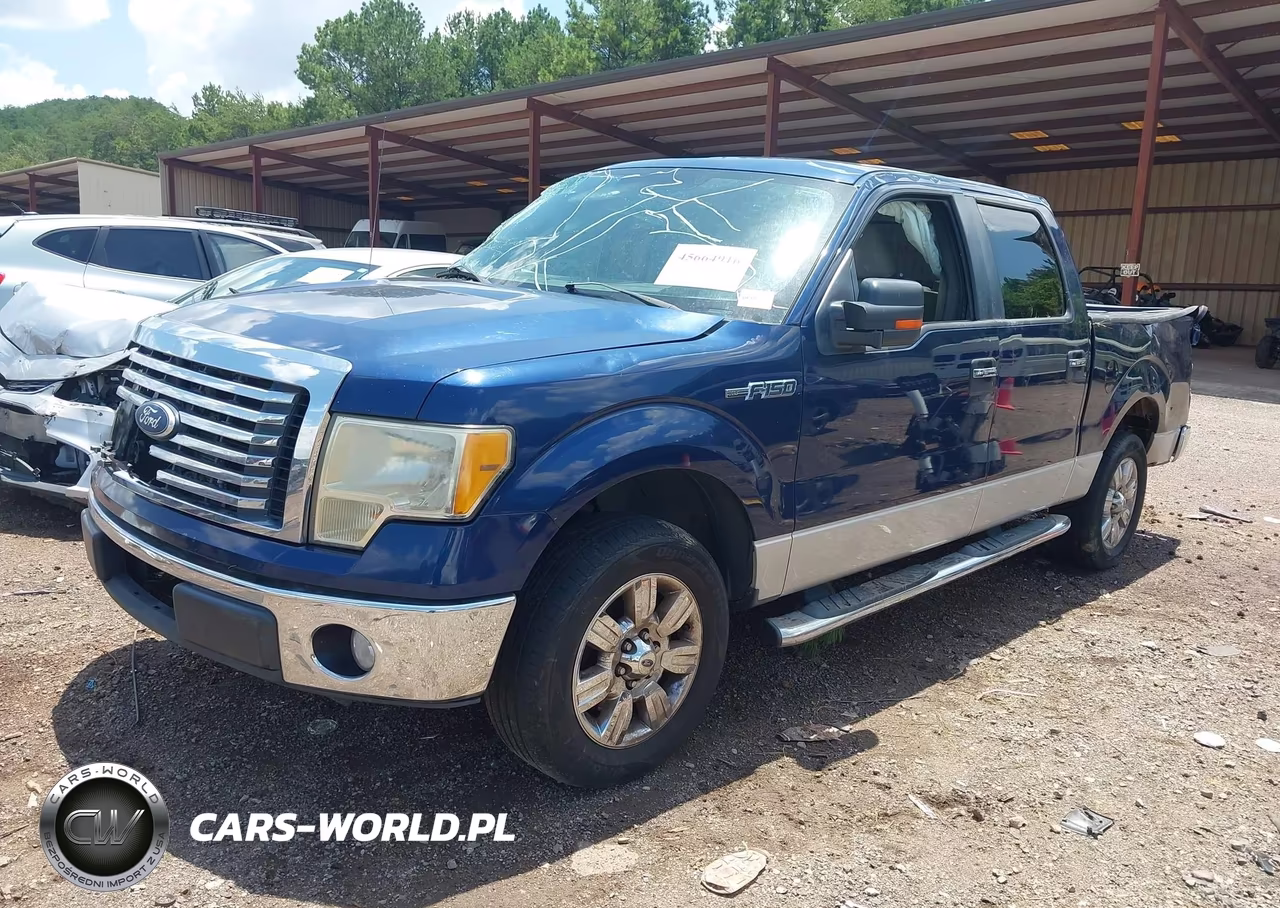 2010 Ford F-150 Xlt VIN:1FTEW1C83AFD23310 - 2