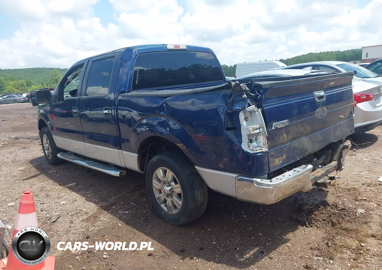 2010 Ford F-150 Xlt VIN:1FTEW1C83AFD23310 - 3