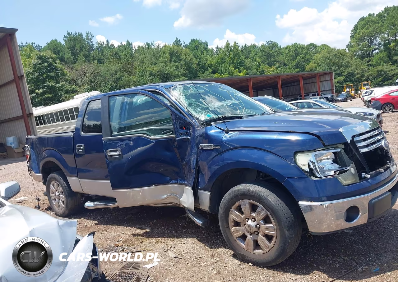 2010 Ford F-150 Xlt VIN:1FTEW1C83AFD23310 - 6