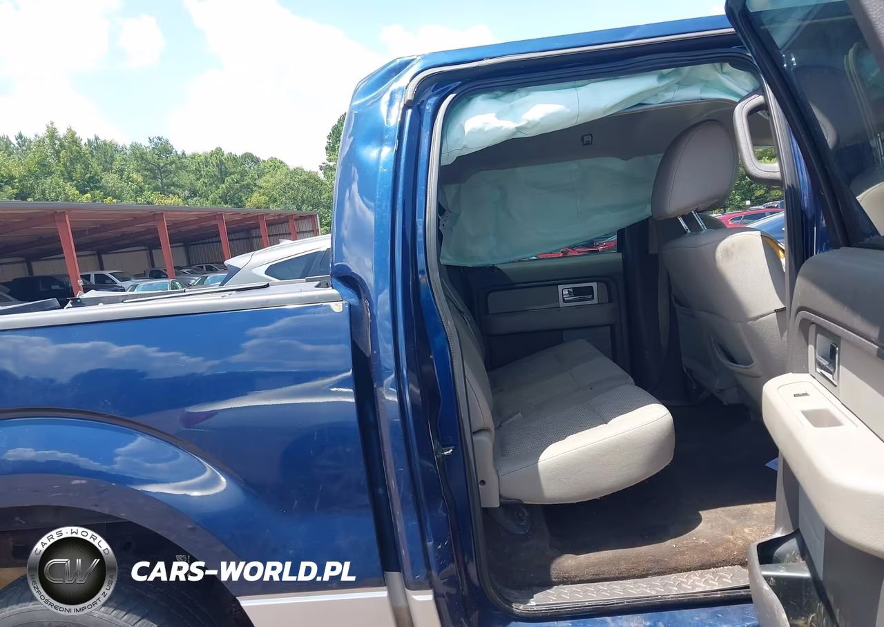 2010 Ford F-150 Xlt VIN:1FTEW1C83AFD23310 - 8