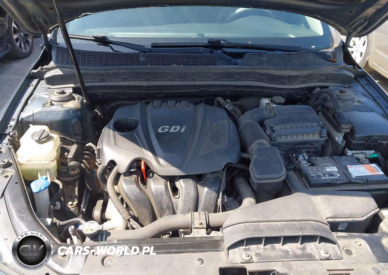 2015 Kia Optima Lx VIN:KNAGM4A79F5554233 - 10